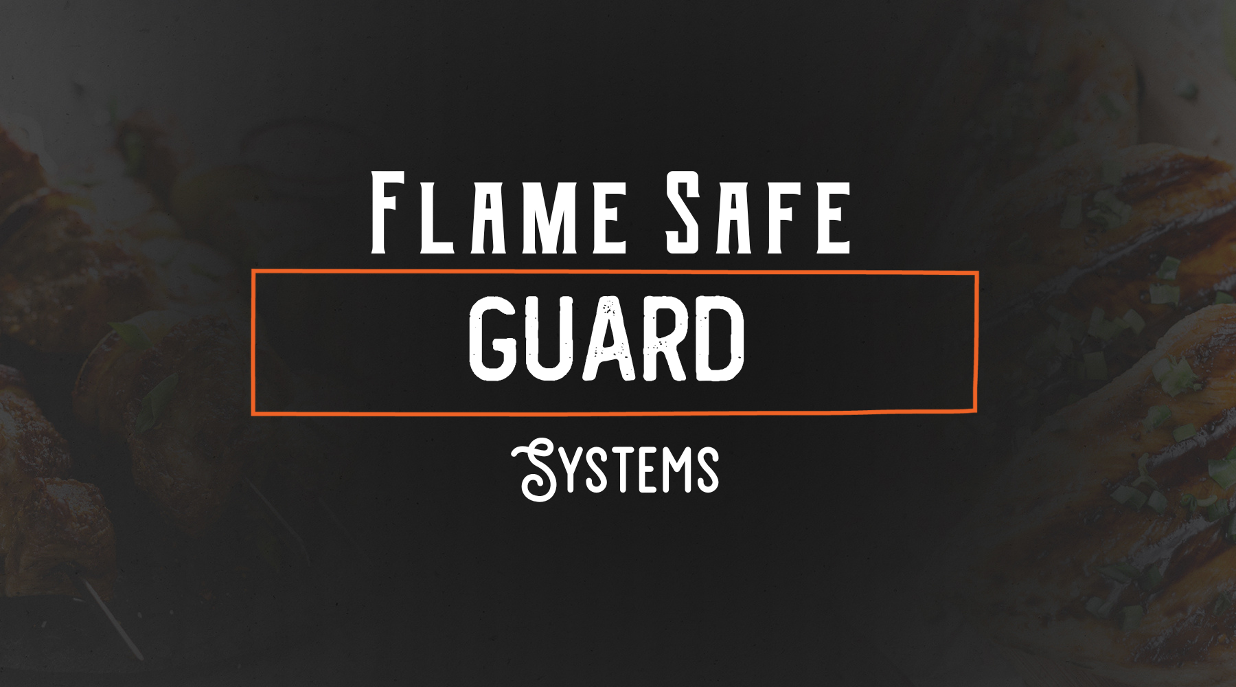 Flame safeguard systems