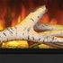 Napoleon Astound FlexMount Electric Fireplace