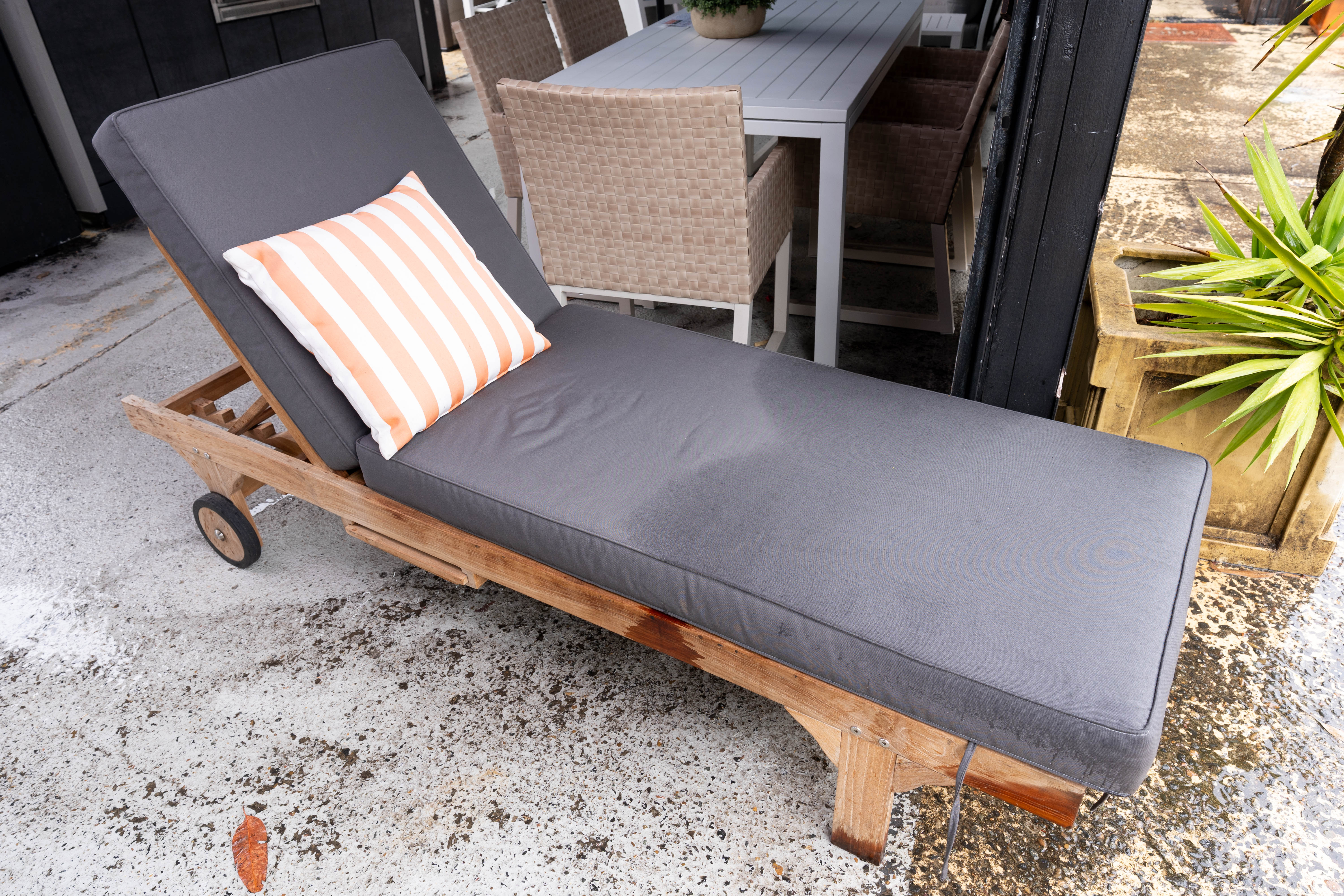 Clearance Sale - East India Hayman Sunlounge with Cushion