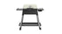 Everdure Force 2 Burner Gas BBQ With Stand Stone - Tucker Barbecues