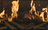 Escea LE1250 MK2 Inbuilt Electric Fireplace