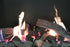 Real Flame Magiglo Series 320 Gas Fireplace
