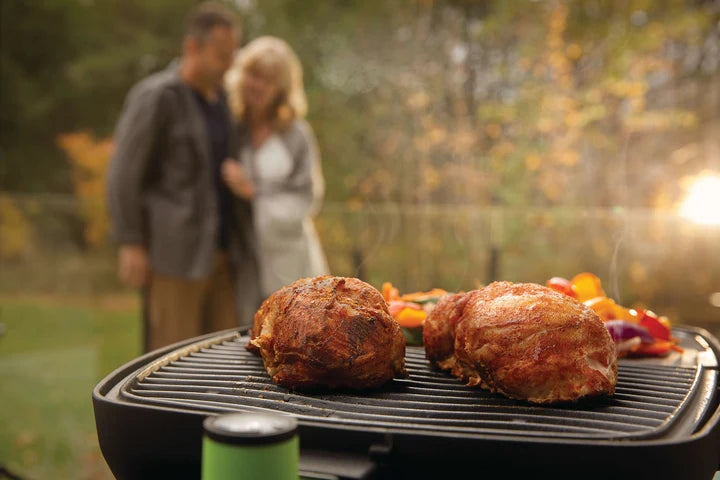 Clearance Sale - Napoleon TravelQ PRO285E Electric Portable BBQ