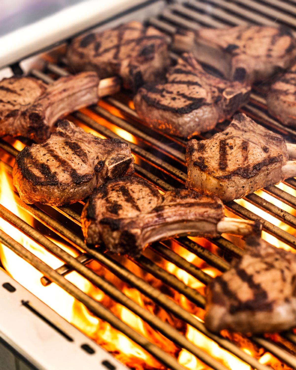 cooking lamb chops on the Charcoal Deluxe Pro