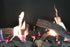 Real Flame Element 900 Gas Fireplace
