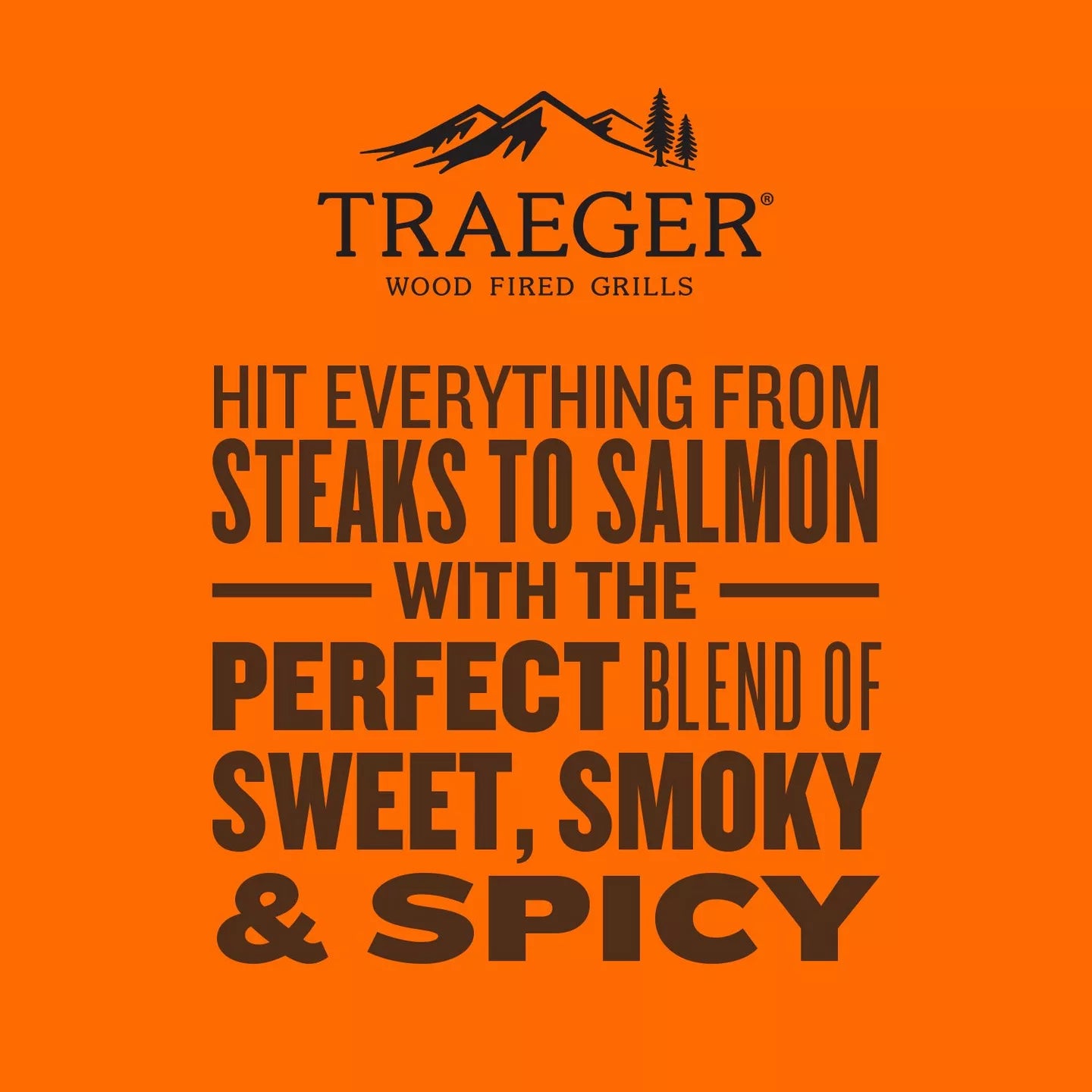 Traeger Rub - 200g
