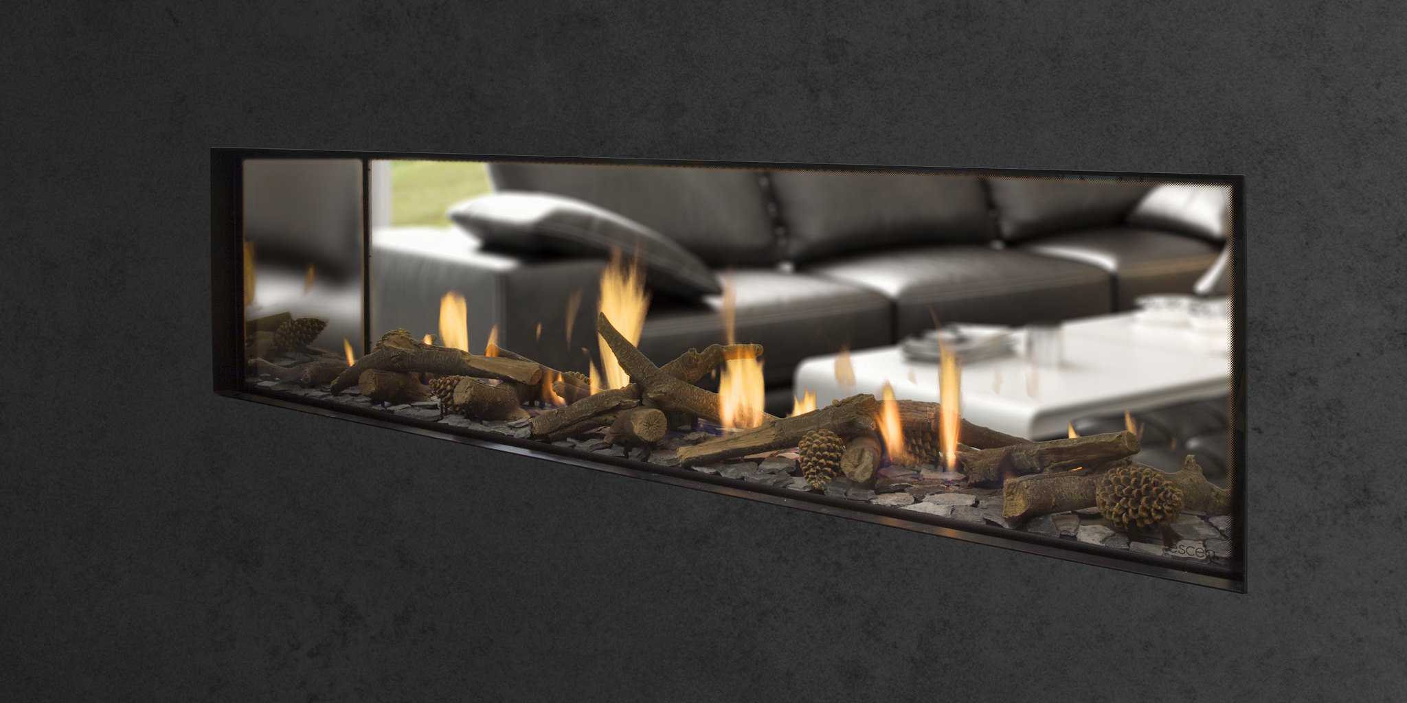Escea DS1650 Double Sided Gas Fireplace, Heater, Glen Dimplex